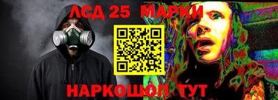 индика Заволжье