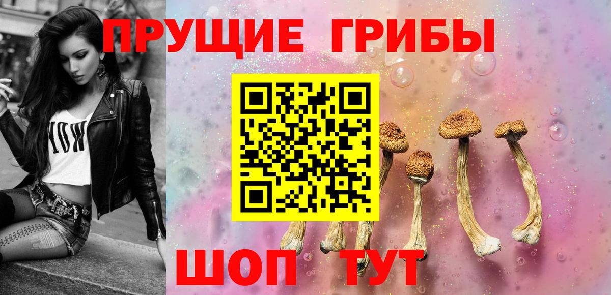 купить   Галлюциногенные грибы ЛСД  Галлюциногенные грибы GOLDEN TEACHER  Вход с VPN  Михайловск 