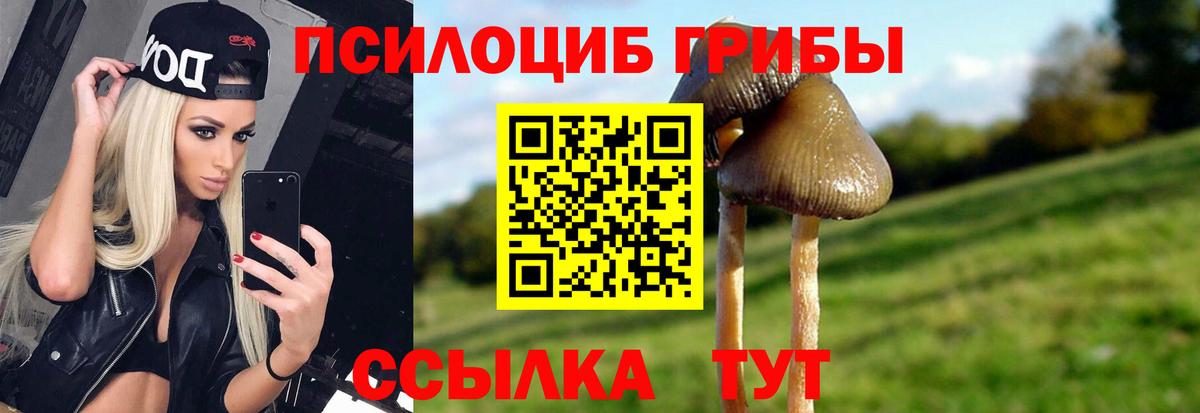 Галлюциногенные грибы ЛСД Михайловск